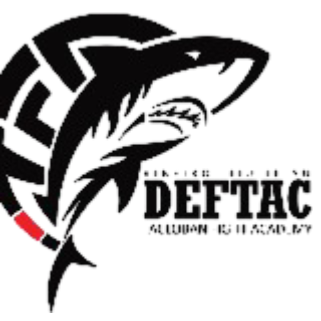 Logo 1